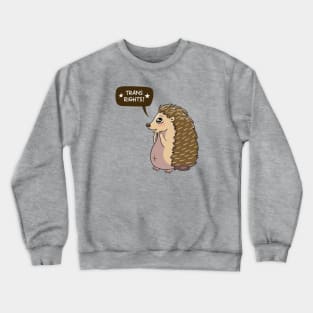 Hedgehog says Trans Rights Crewneck Sweatshirt